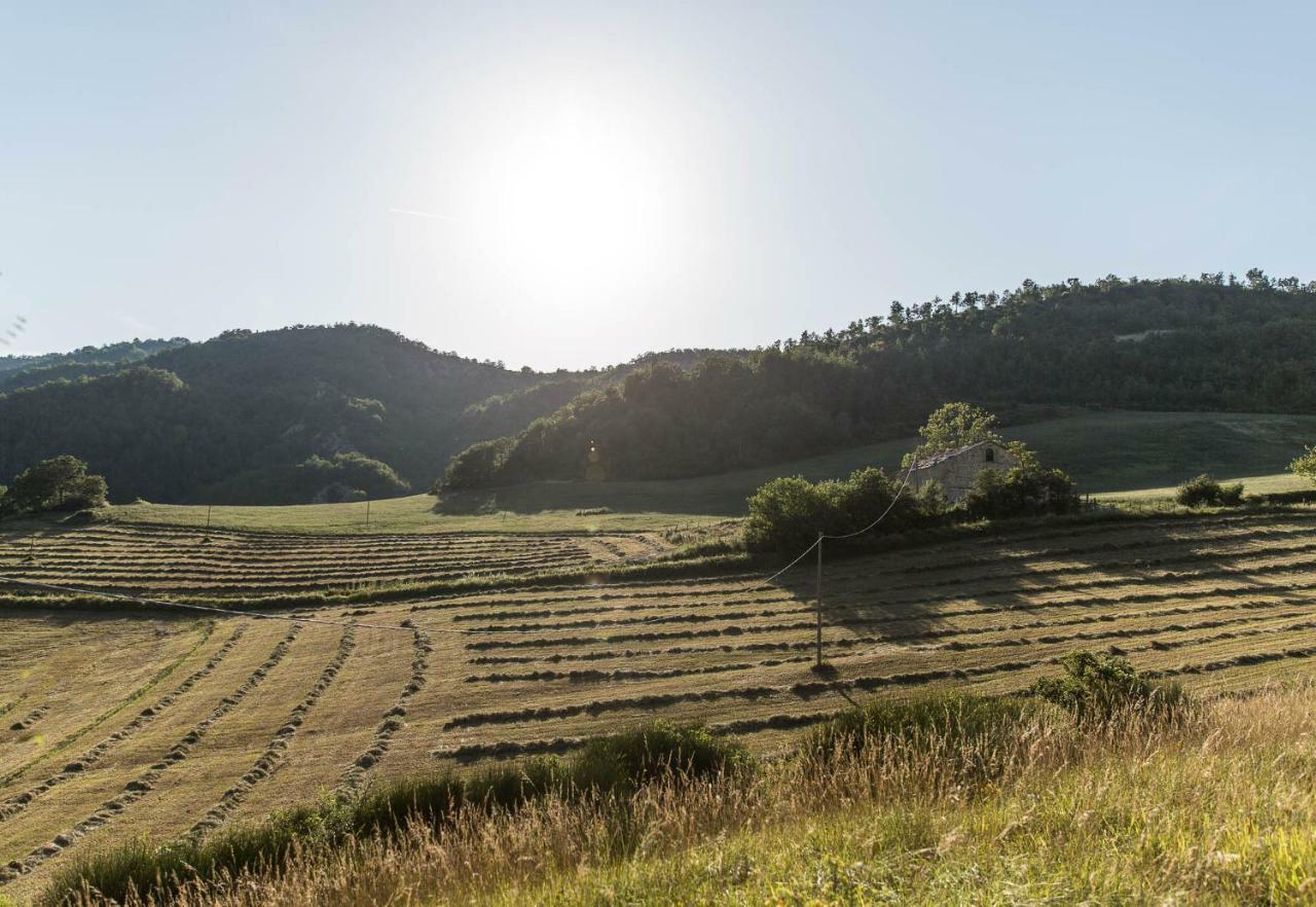 Agriturismo L'Antico Frutto เปรมิลกัวเร ภายนอก รูปภาพ