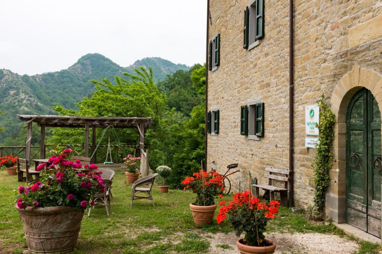 Agriturismo L'Antico Frutto เปรมิลกัวเร ภายนอก รูปภาพ
